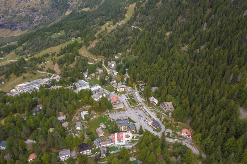 Mountain village with buildings, dense forest, and winding roads.