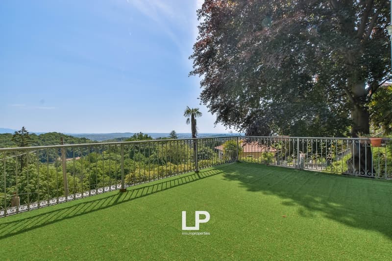 green artificial grass, steel railing, palm tree, tree, house in the background, mountains, horizon