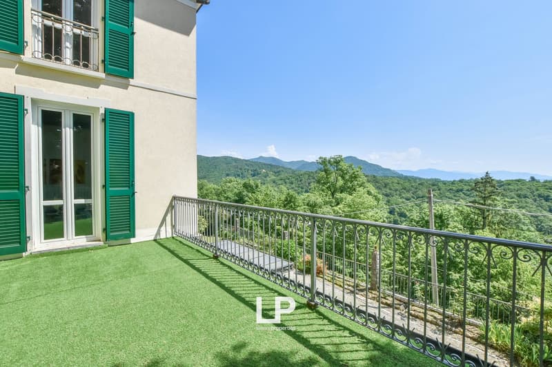 Balcony with railings, artificial turf, mountain view