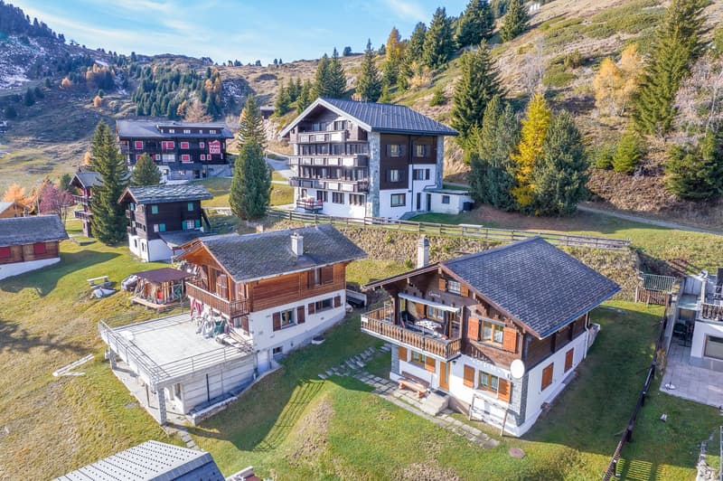 Ski-in/Ski-out apartment with sun terrace and top location in Riederalp West (3)