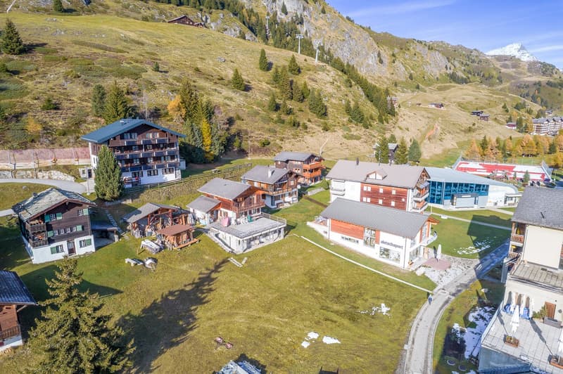 Ski-in/Ski-out apartment with sun terrace and top location in Riederalp West (18)