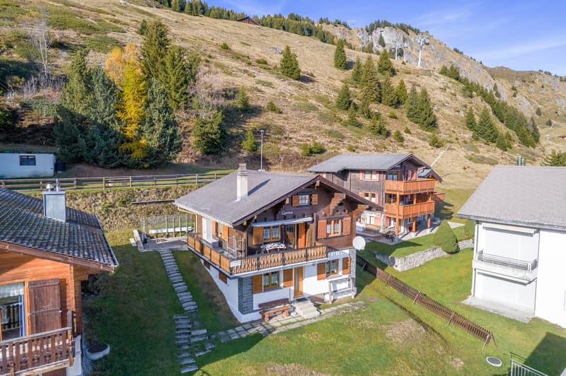 Ski-in/Ski-out apartment with sun terrace and top location in Riederalp West (2)