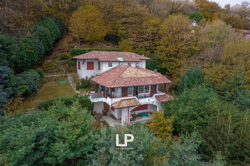Detached house with terrace, surrounded by trees, elevated on a hill, two levels