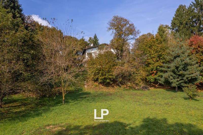 large green lawn, raised ground floor, house in the background, surrounded by trees