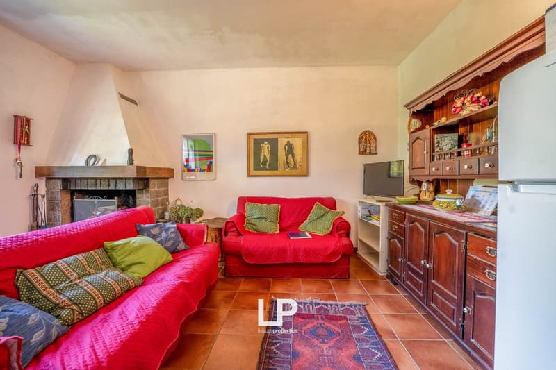 fireplace, living room, wooden cabinet, couch, sofa, TV