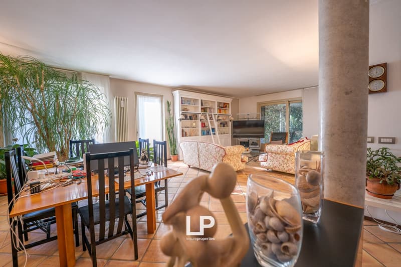 dining area with wooden table and chairs, plants, bookshelves, couch, tv, clock