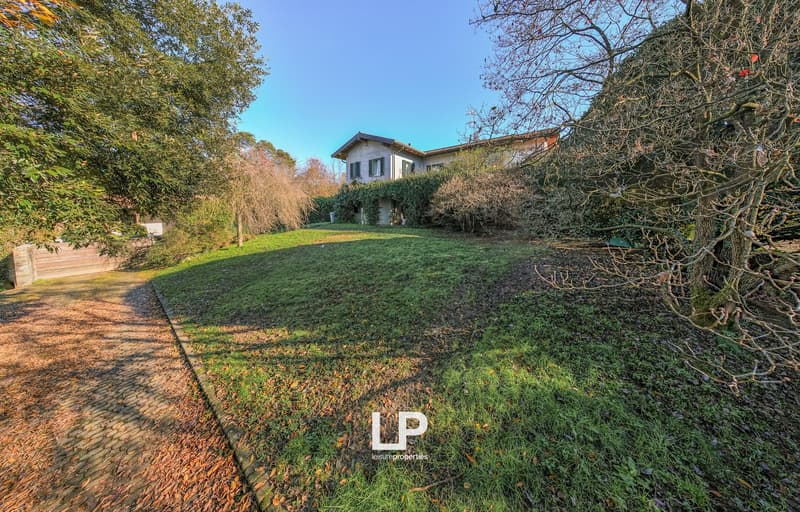 large grassy lawn, trees and bushes surrounding the area, a pathway leading to the house