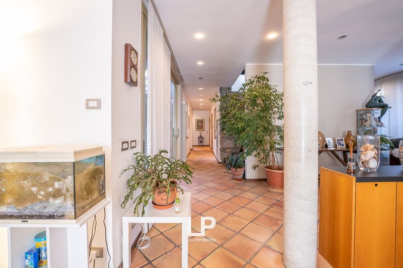 terracotta tiled floor, white walls, plants in pots, hallway with glass door, light fixtures, decorative elements