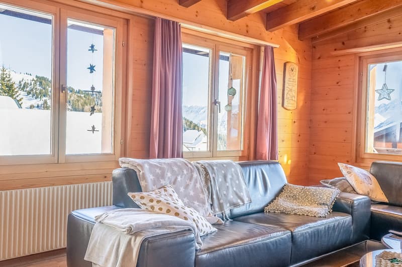 leather sofa, wooden wall, radiator, large windows, mountain view