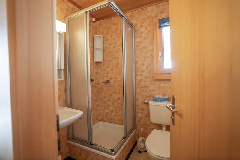 shower, sink, toilet, small window, light