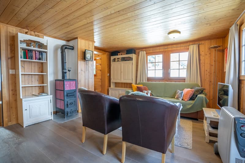 Wood paneling, fireplace, leather chairs, couch, bookshelf, radiator, shelves