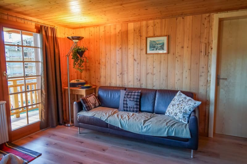 modern decor, leather sofa, pillows, floor lamp, rug, wooden walls, wooden door, wooden balcony