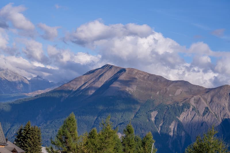 mountains, pine trees, shadow of the mountain, sky with clouds