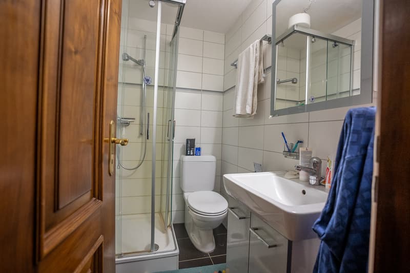 small bathroom, white shower, toilet, sink, towel rack, blue towel