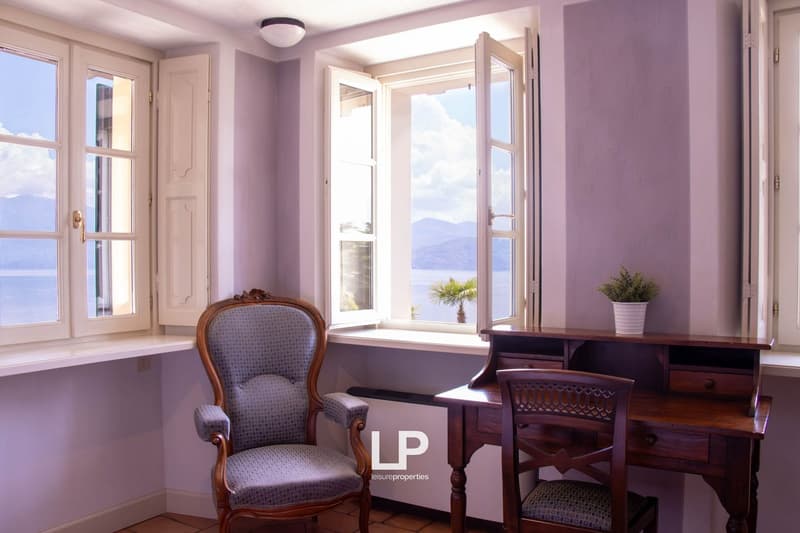 large windows, desk, armchair, chair, plant