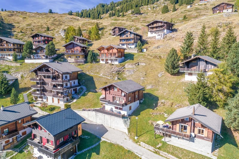 Chalet svizzero autentico in costruzione a blocchi di legno con vista libera e due unità abitative a Riederalp West (3)