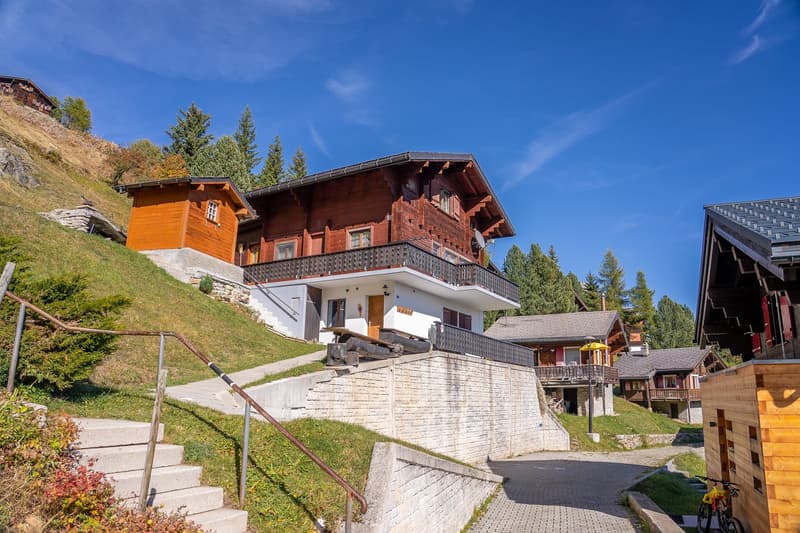 Chalet svizzero autentico in costruzione a blocchi di legno con vista libera e due unità abitative a Riederalp West (5)