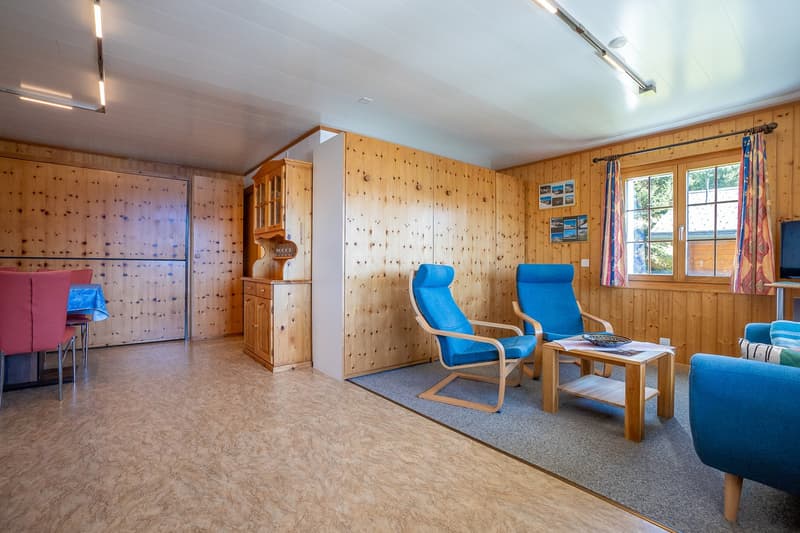 living room, wooden walls, carpet, 2 blue chairs, small table, window, wooden cupboard, tv
