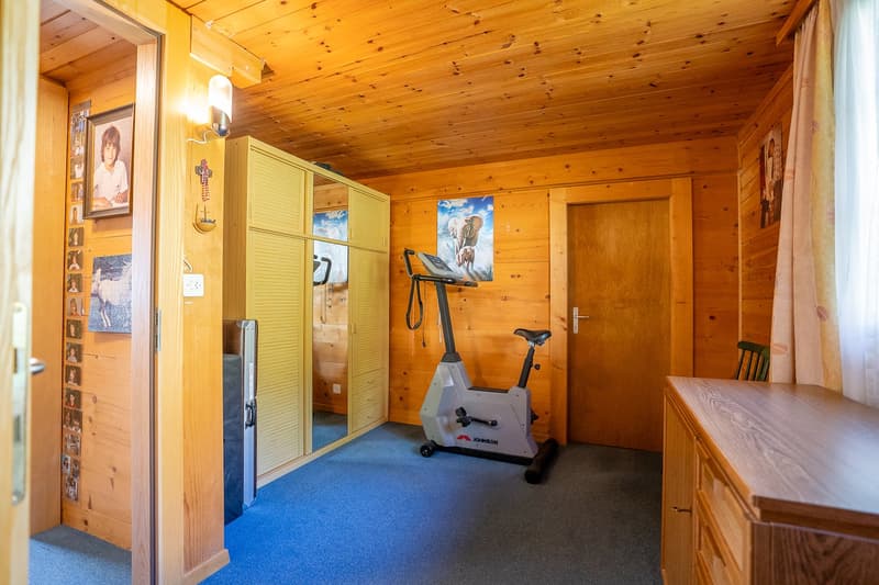 Small room with wooden walls, an exercise bike, and a wardrobe with a mirror.