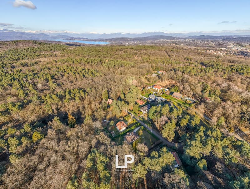 Multiple residential houses in a forested area, mountains in the background, view of the horizon.