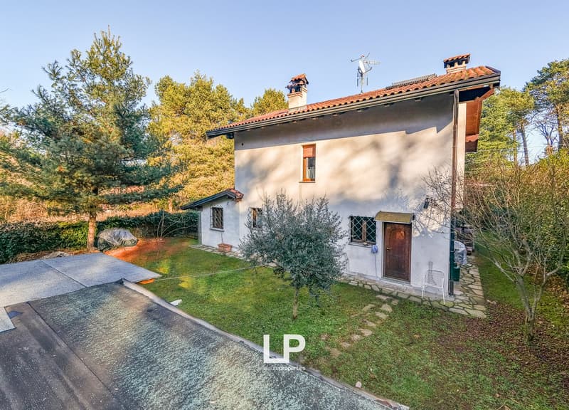 white house, red tile roof, chimney, windows, driveway, front yard, green lawn, olive tree, green bushes, trees