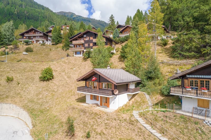 Several chalets on hillside, wooden houses, brown roofs, balconies, mountain view