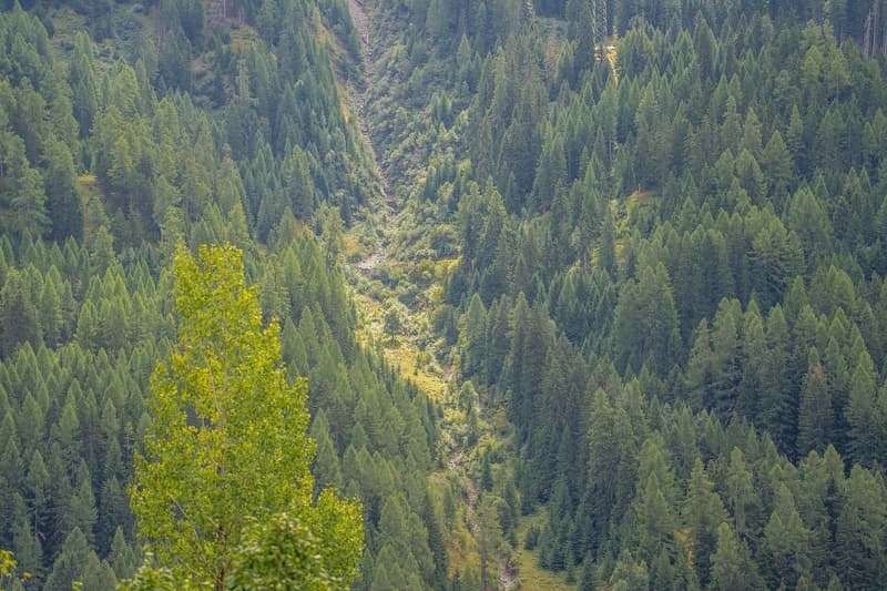 Charmant chalet de 5,5 pièces dans un cadre montagnard idyllique à Goms (33)