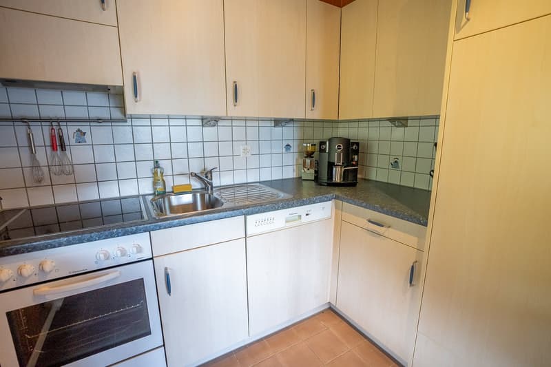 Charmant chalet de 5,5 pièces dans un cadre montagnard idyllique à Goms (19)