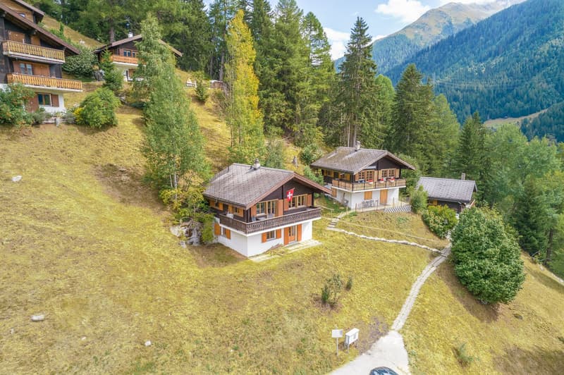 4 separate chalets, mountainous region, surrounded by trees and grass, Swiss flag visible