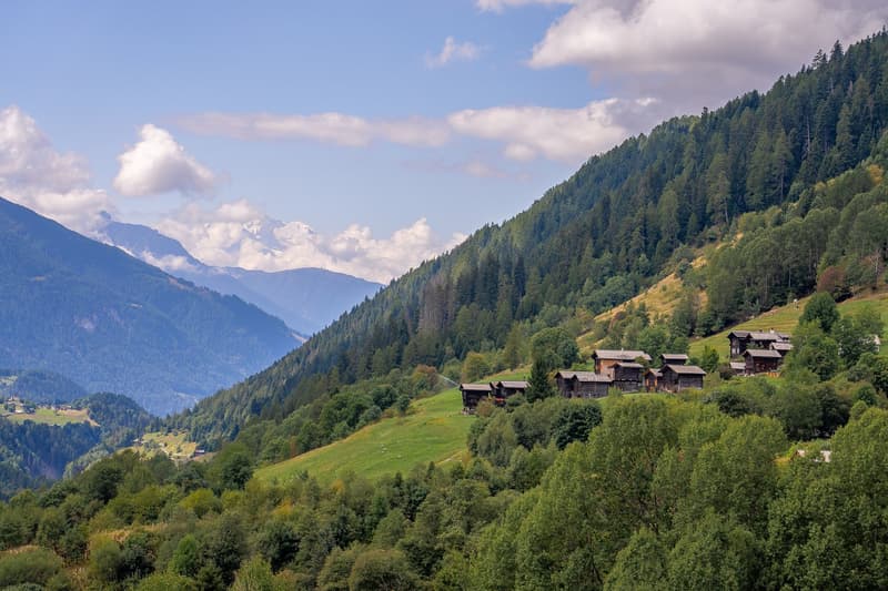 Charmant chalet de 5,5 pièces dans un cadre montagnard idyllique à Goms (11)