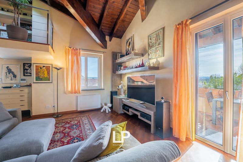 wooden ceiling, glass door to balcony, beige sofa, carpet, entertainment center with television, speakers, and shelves, fireplace, radiator, paintings on wall