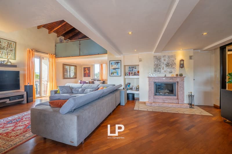 gray sofa, TV, carpet, fireplace, picture frames, wall decorations, ceiling lights, large windows, balcony