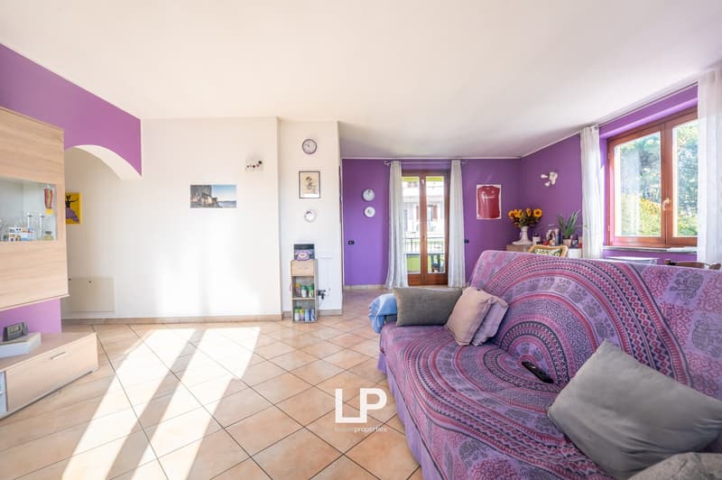 Purple walls, living room with sofa, open window, wooden shelves, plants, clocks, picture frames