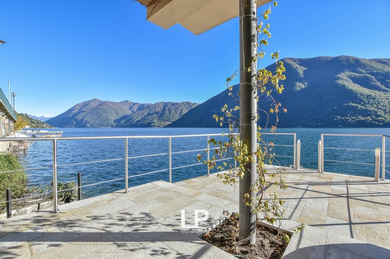 Balcony overlooking the lake with mountains in the background, railings, plant