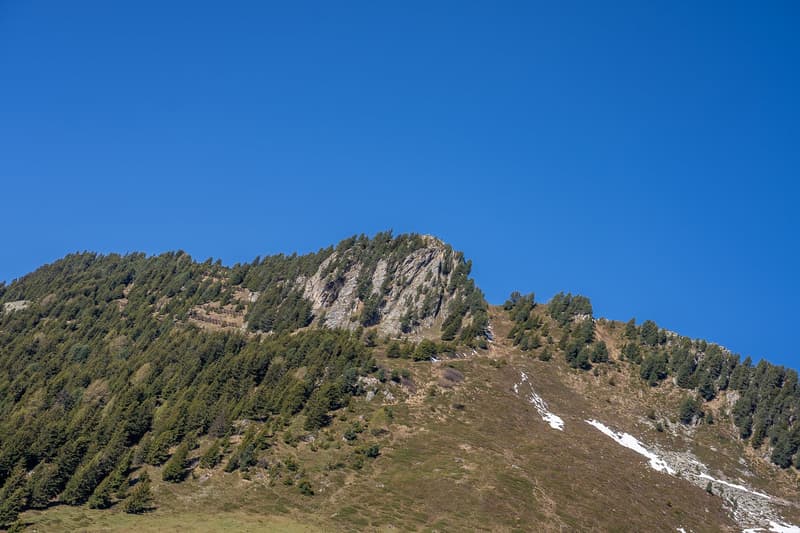 Almenrausch Panoramawohnung (8)