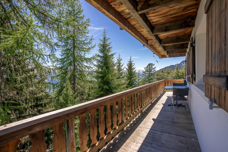 Charmantes 7-Zimmer-Chalet an der Aletschpromenade in Riederalp (21)