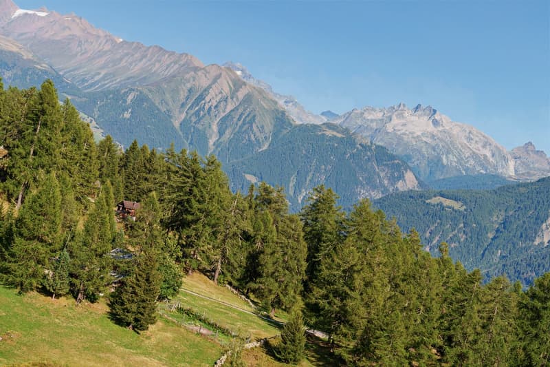 Charmantes 5-Zimmer-Chalet an der Riederalp – Traumhafter Bergblick und rustikaler Charme (45)