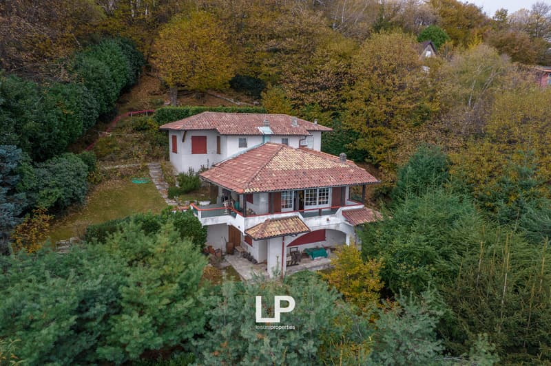 DJI_0035-2
