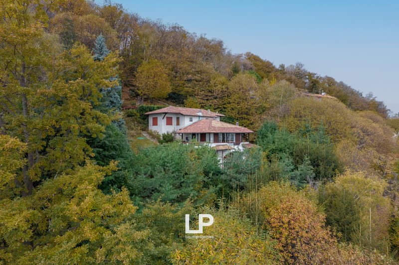 DJI_0032