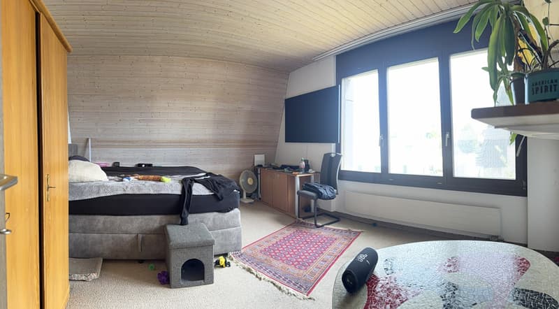 Familienparadies an ruhiger Privatstrasse (8)