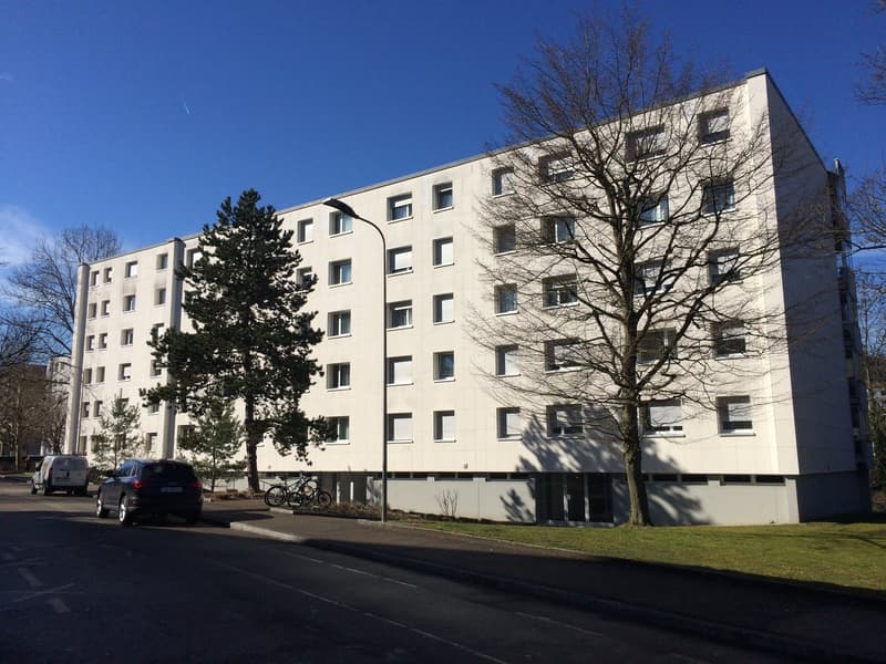 2.5 Zimmer-Wohnung am Kesselweg 47a in Liestal (1)