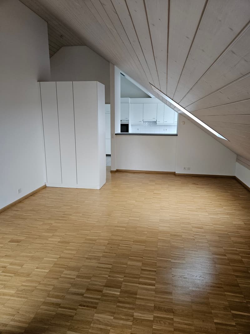 Bello e spazioso appartamento a Liestal (8)