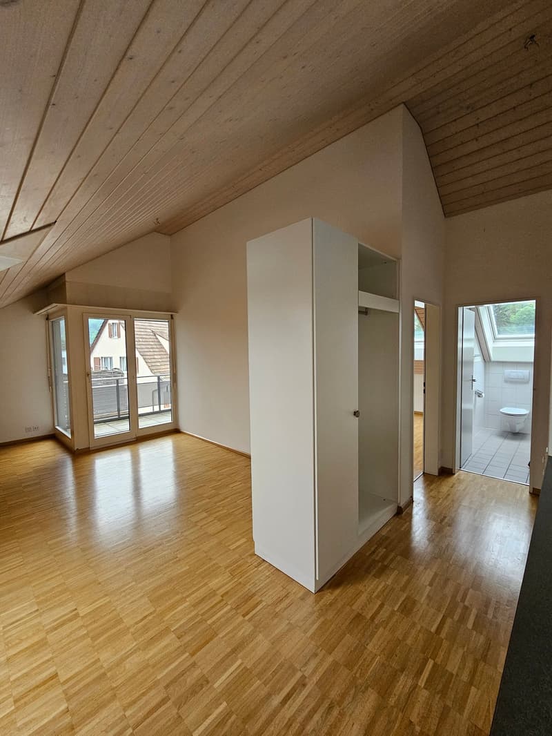 Bello e spazioso appartamento a Liestal (5)