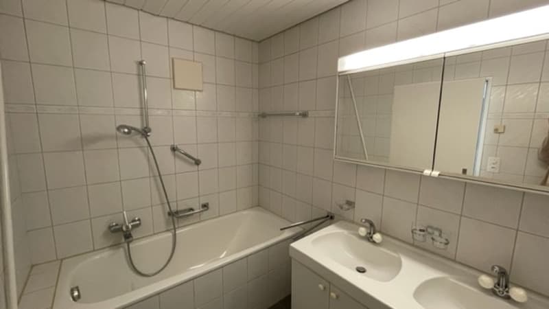 Ampio appartamento mansardato di 3,5 locali (6)