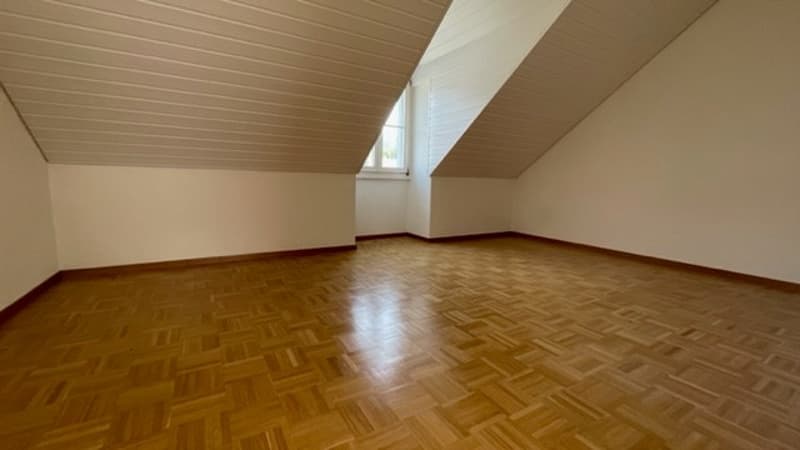 Ampio appartamento mansardato di 3,5 locali (5)