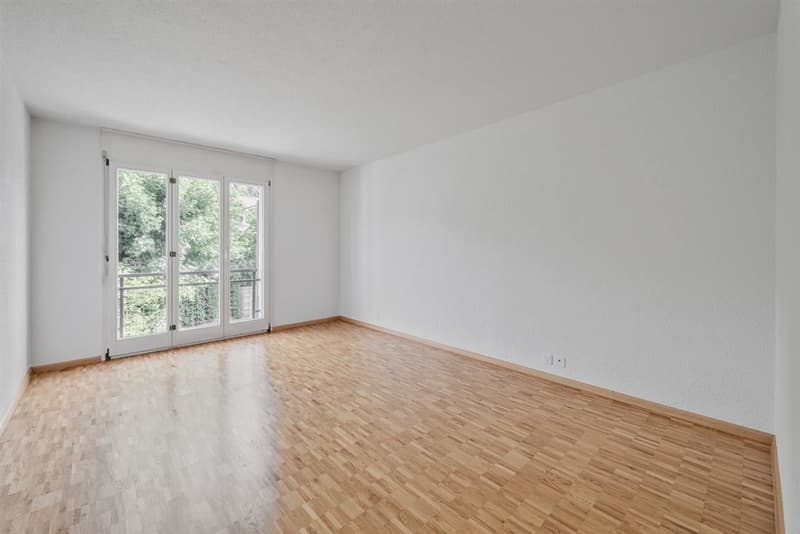 Gemütliche, helle und ruhige 2.5-Zimmerwohnung (4)