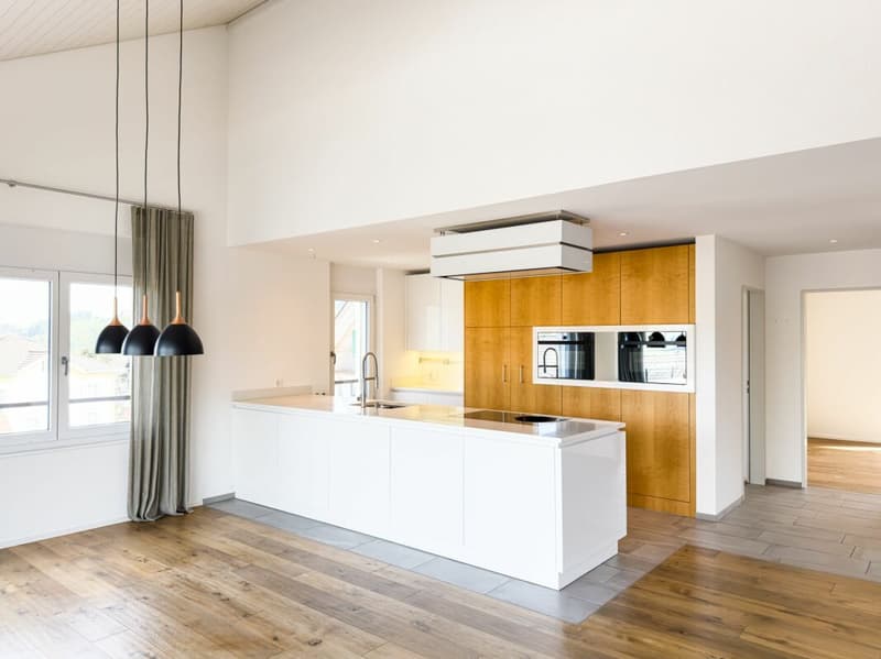Dachwohnung mit grosser Terrasse und grandioser Weitsicht (4)
