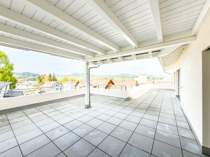 Dachwohnung mit grosser Terrasse und grandioser Weitsicht (2)
