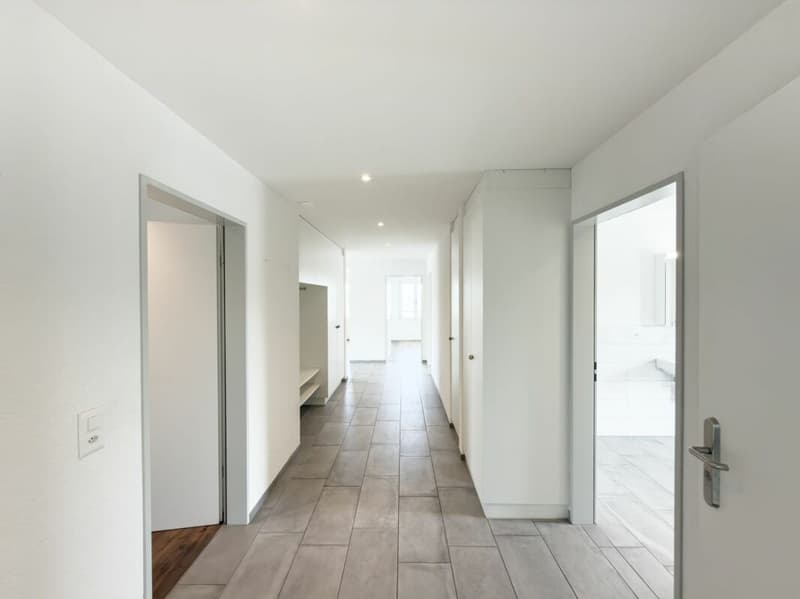 Dachwohnung mit grosser Terrasse und grandioser Weitsicht (12)