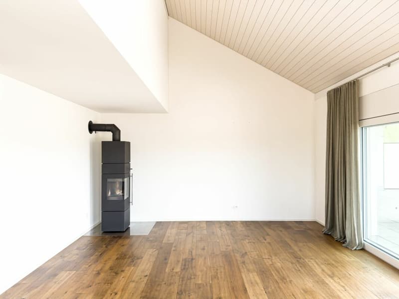 Dachwohnung mit grosser Terrasse und grandioser Weitsicht (5)